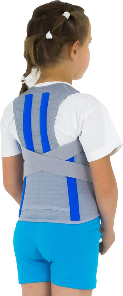 BACK SUPPORT AND POSTURE CORRECTOR 2 IN 1 AM-WSP-06